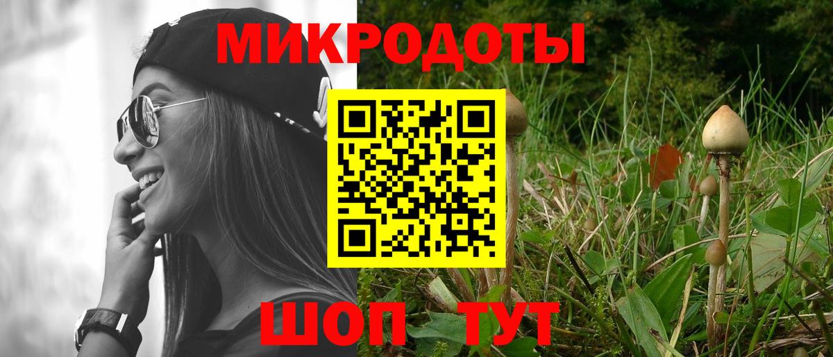 Галлюциногенные грибы мицелий  Вход с VPN  Мыски 