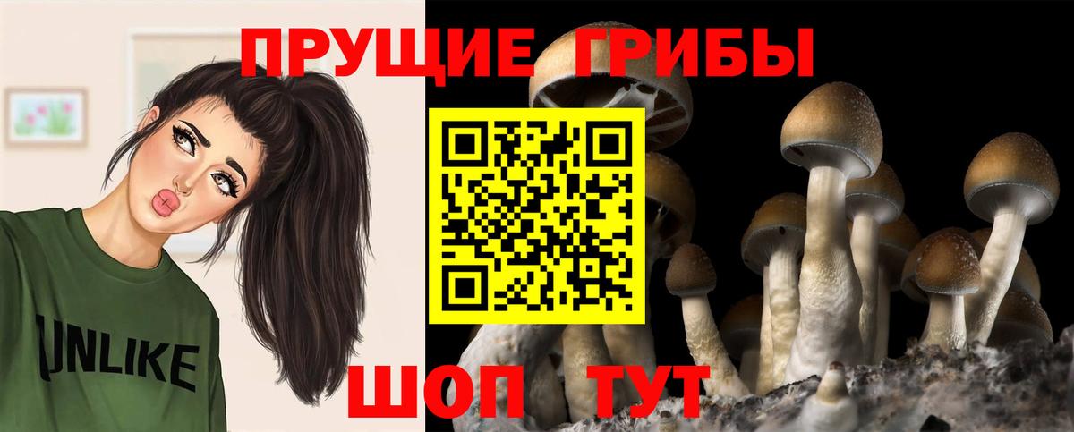 Галлюциногенные грибы ЛСД Мыски